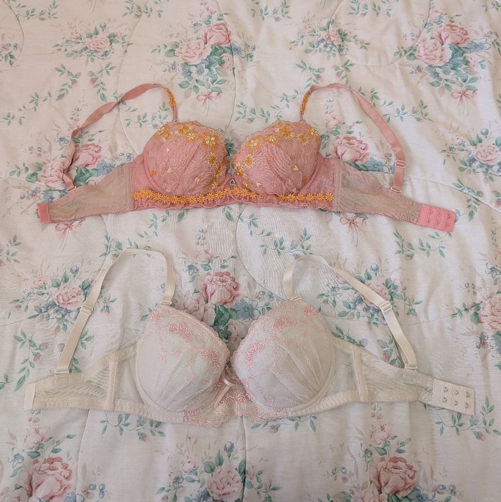 Lot of 2 Japanese Bras size F65